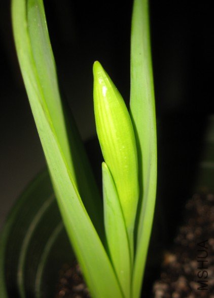 QQ��ͼ20120404181111.jpg