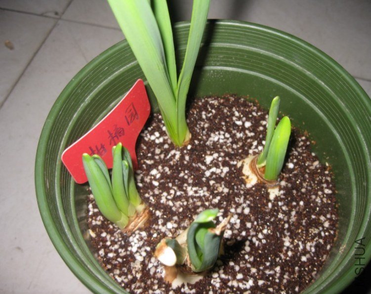 QQ��ͼ20120404181131.jpg