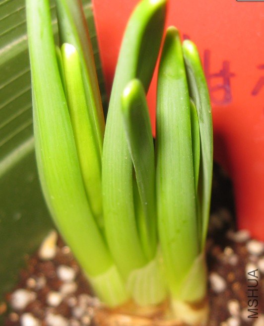 QQ��ͼ20120404181038.jpg