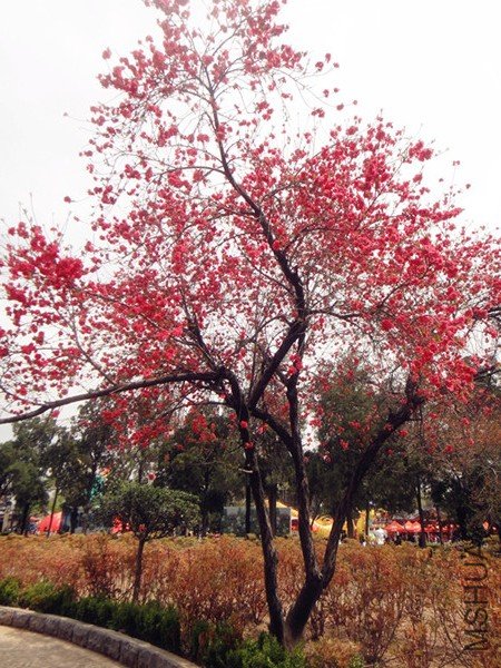 08_��ת.jpg