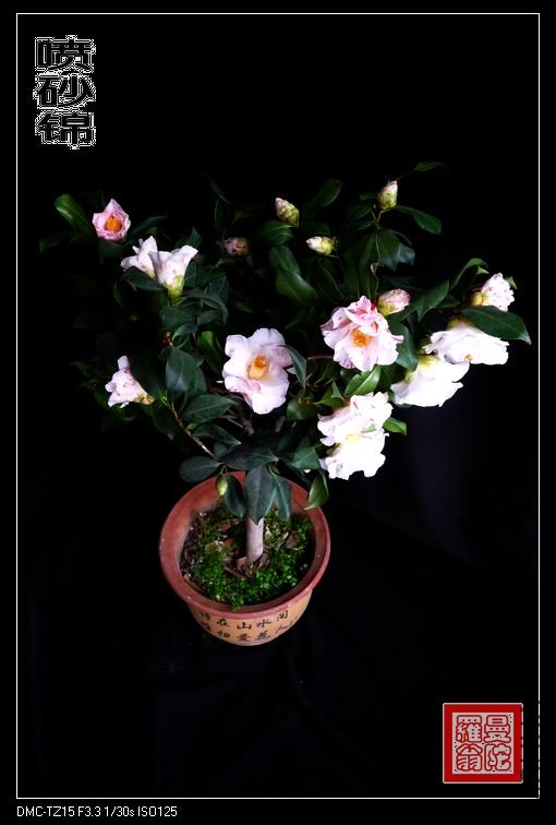 ��ɰ��047.jpg