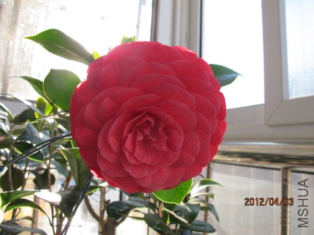 IMG_1891.JPG
