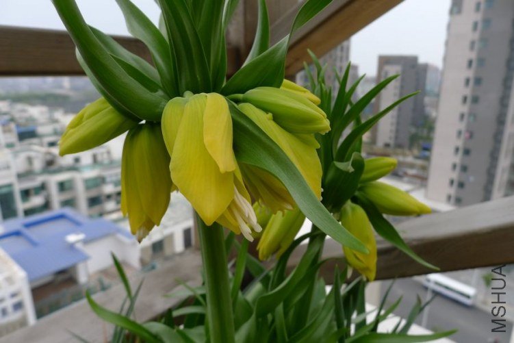 P1000790.JPG