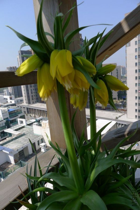 P1000810.JPG