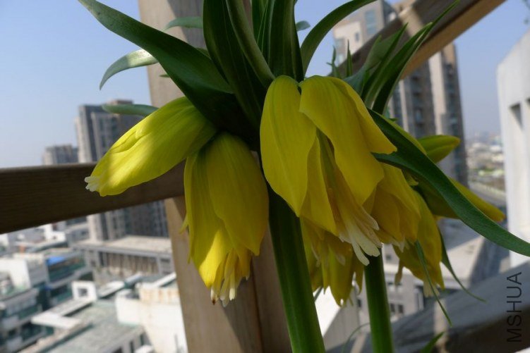 P1000811.JPG