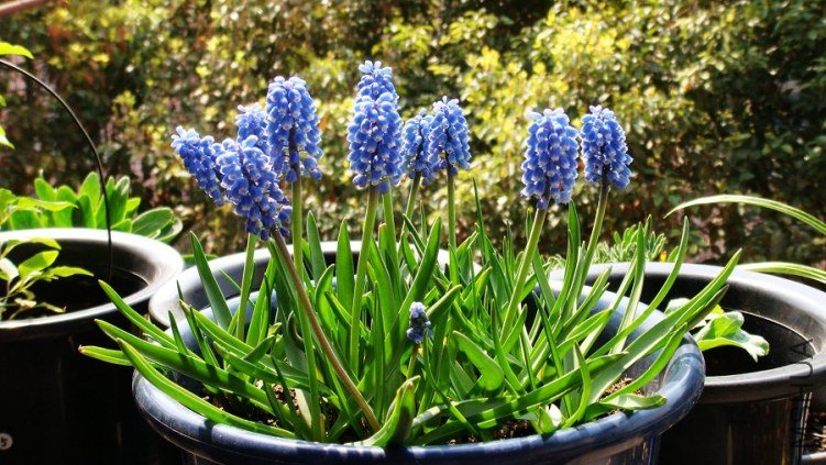 ���ѷ����� (1).JPG