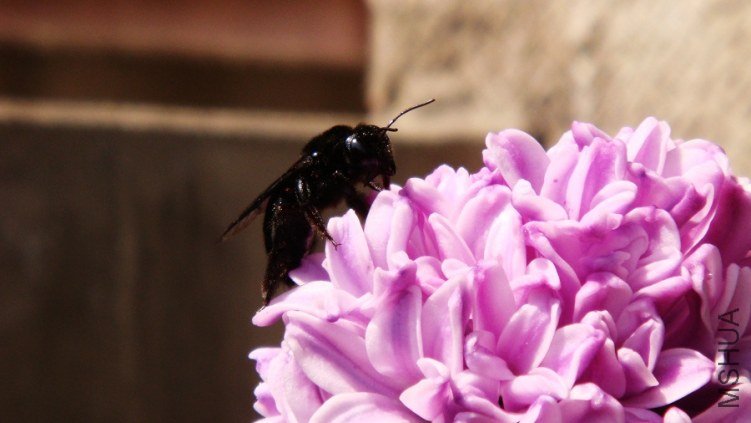 ������ (2).JPG