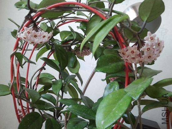 nEO_IMG_2012-04-05 11.23.54.jpg