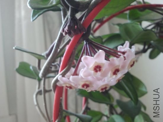 nEO_IMG_2012-04-05 11.25.18.jpg