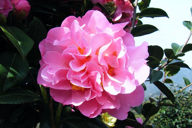 2012_03310056.JPG