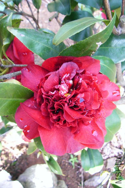 2012_03310024.JPG