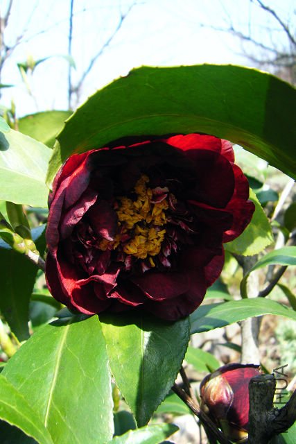 2012_03310026.JPG