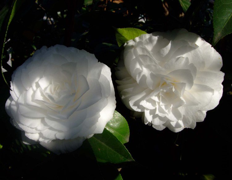 ţ�������� 2012-4-5f 034.jpg