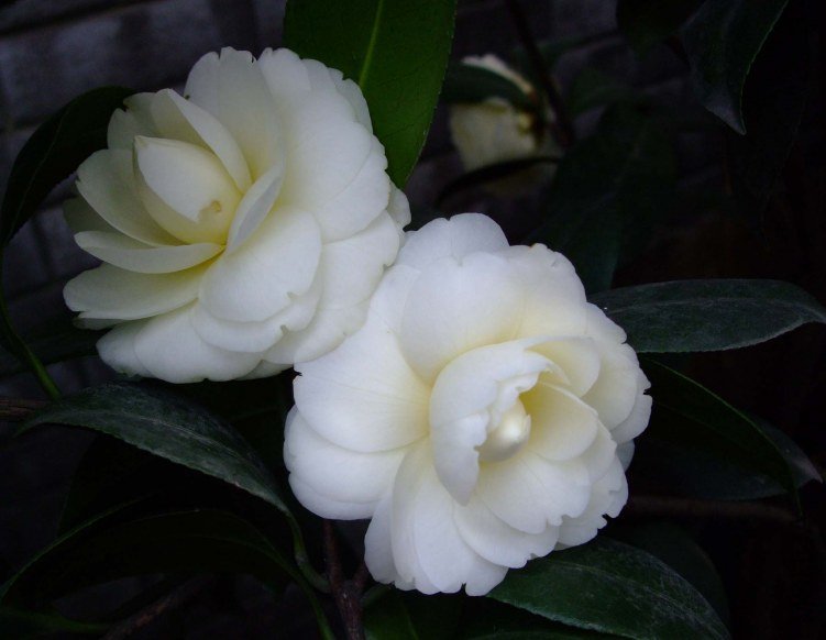 �ƴ� 2012-4-5f 072.jpg