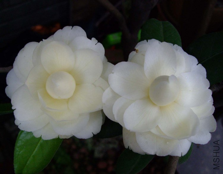 �ƴ� 2012-4-5f 070.jpg