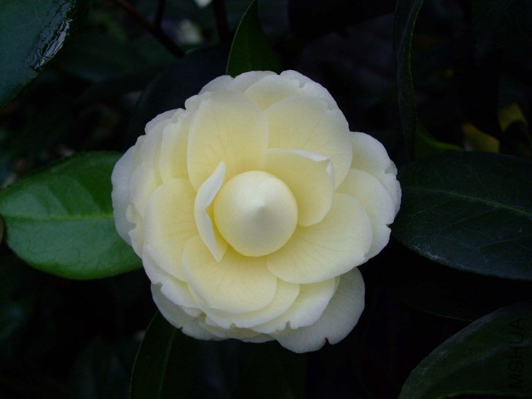 �ƴ� 2012-4-5f 067.jpg
