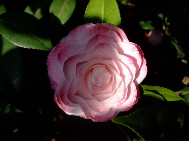 ����˿ 2012-4-5f 005.jpg