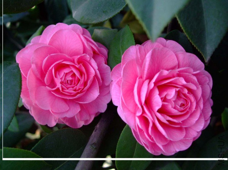 �������� 2012-4-5f 029.jpg