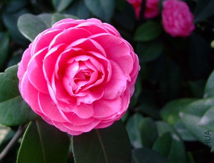 �������� 2012-4-5f 027.jpg
