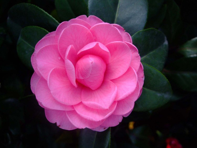 �������� 2012-4-5f 025.jpg