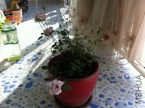 IMG_1000000497.JPG
