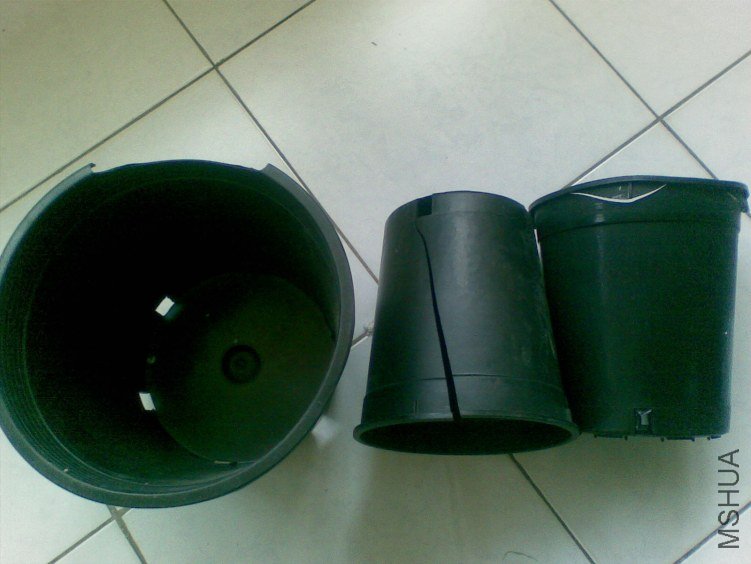 20120406(006).jpg