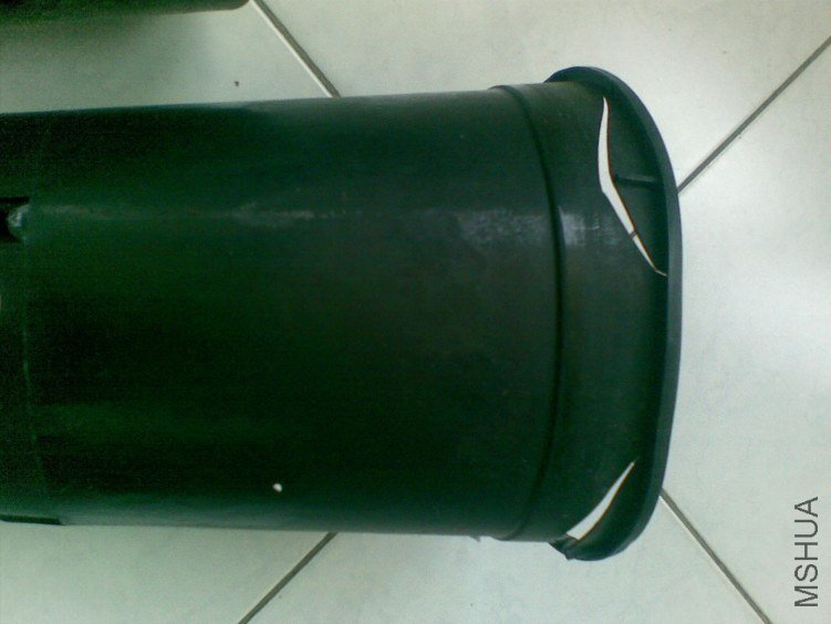 20120406(004).jpg