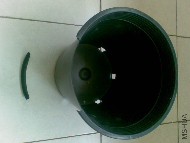 20120406(001).jpg