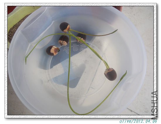 **�Ķ��ˣ�����