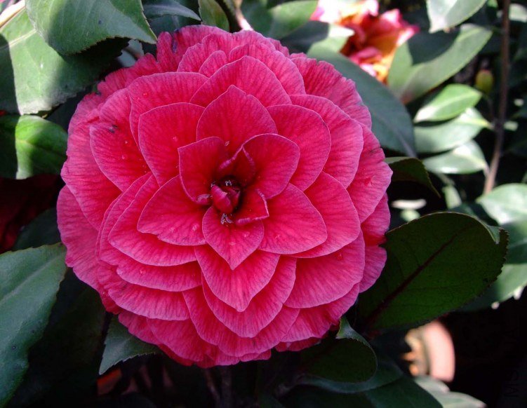 ���� 2012-4-6f 045.jpg