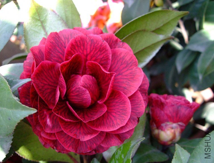 ���� 2012-4-6f 048.jpg