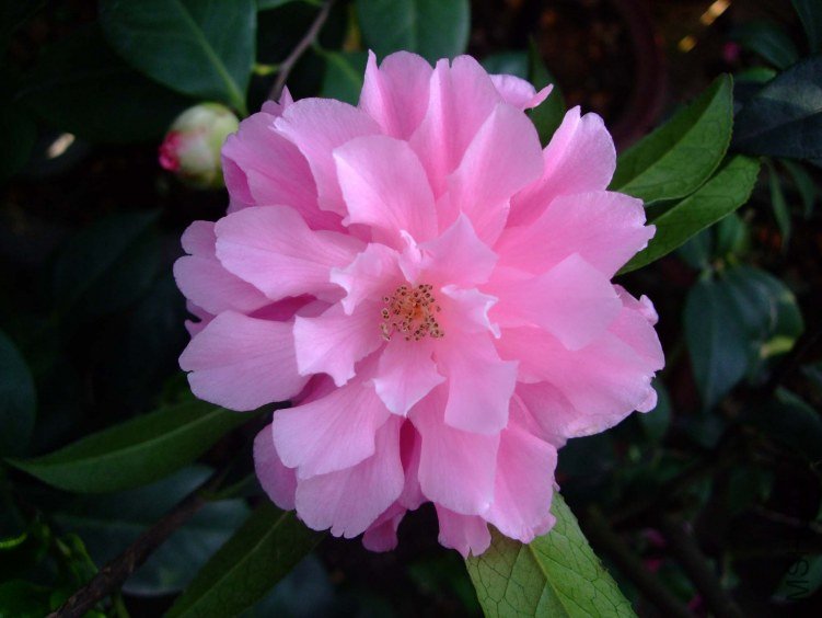 �۴��� 2012-4-6f 012.jpg