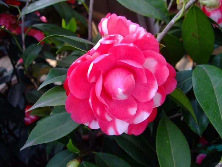 ������ 2012-4-6f 002.jpg
