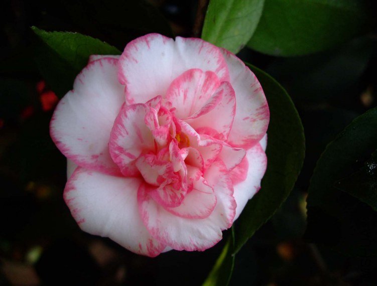 ���ѻ� 2012-4-6f 114.jpg