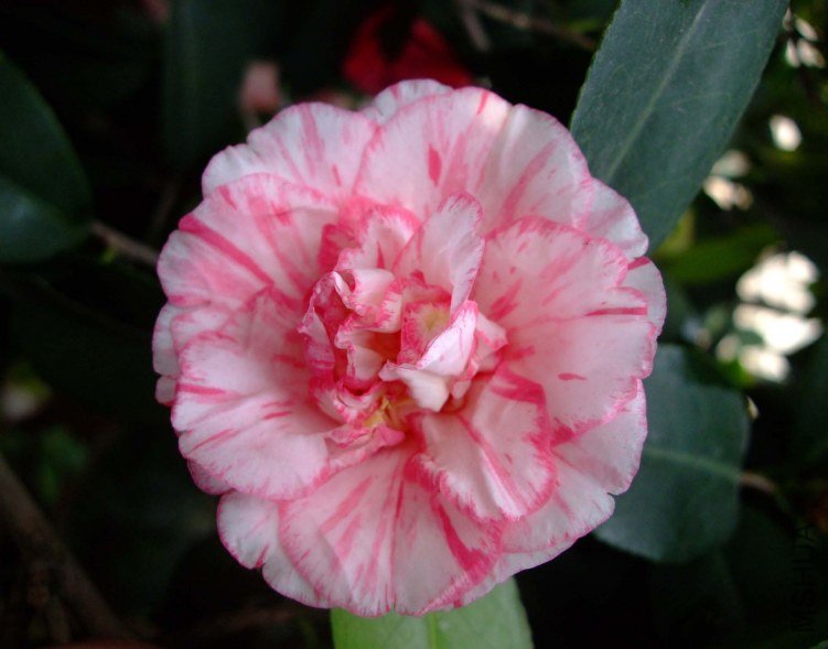 ���ѻ� 2012-4-6f 115.jpg