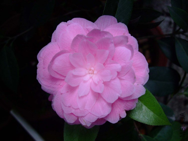 ���˲� 2012-4-6f 008.jpg