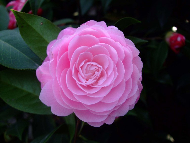 ���˲� 2012-4-6f 016.jpg
