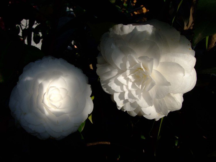 ţ���� 2012-4-6f 029.jpg