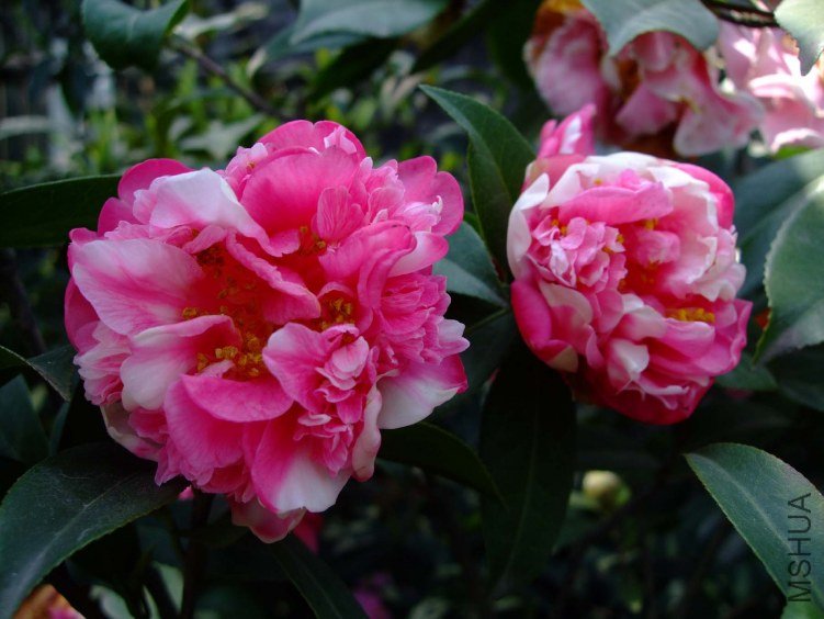 ���� 2012-4-6f 040.jpg