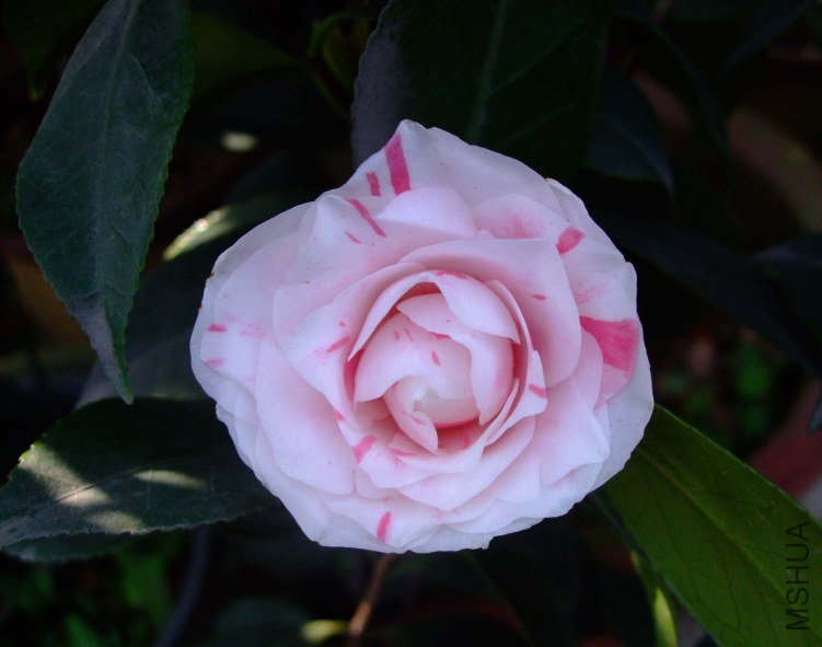 �����￨ 2012-4-6f 019.jpg
