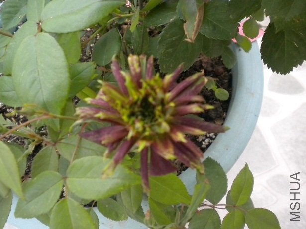 С����л����ˣ�����