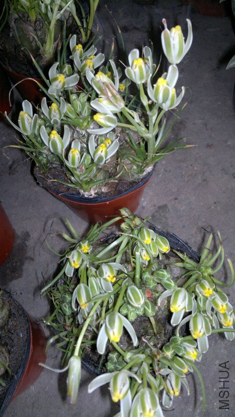 ��Ƭ 008.jpg