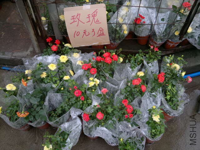��Ƭ 014.jpg