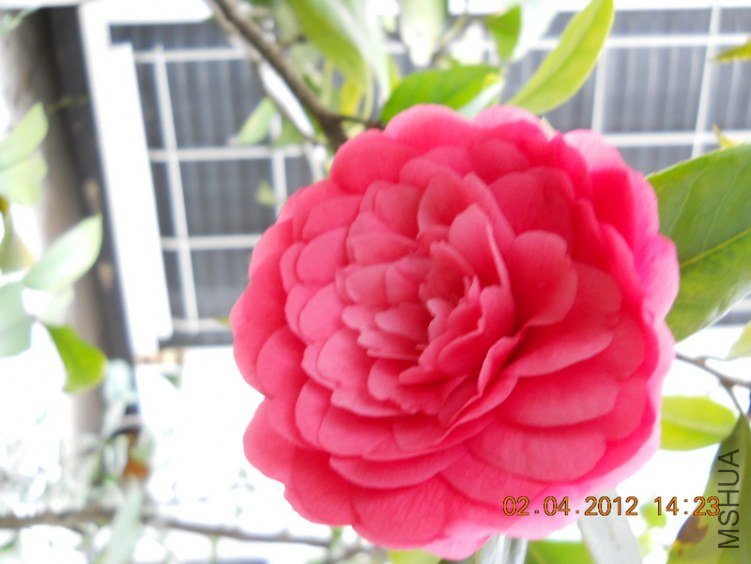 DSCN1372.JPG
