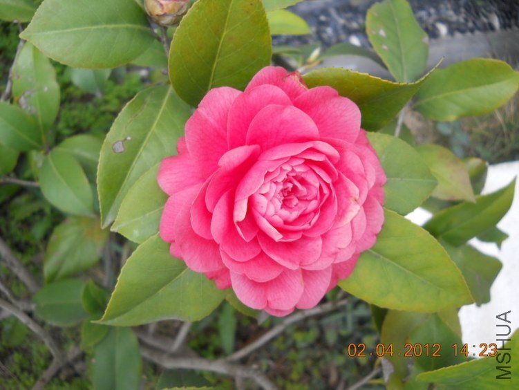 DSCN1371.JPG
