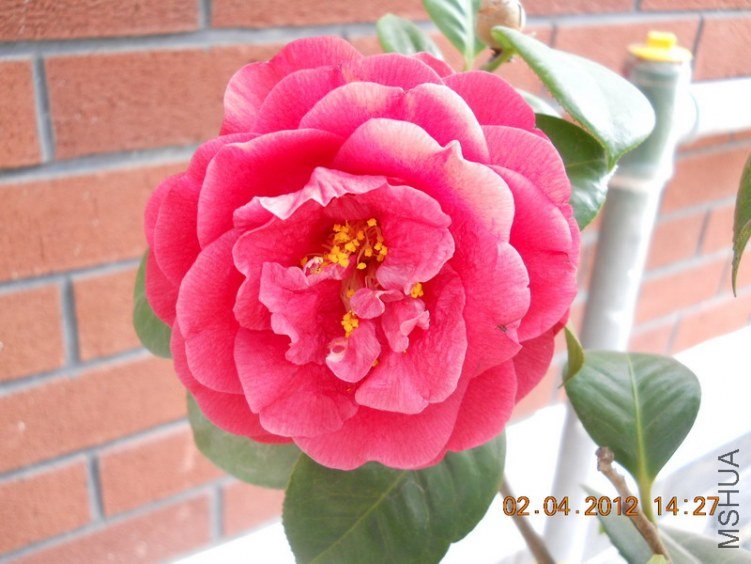 DSCN1379.JPG