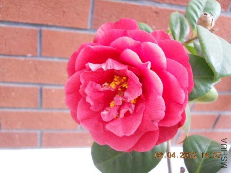 DSCN1380.JPG