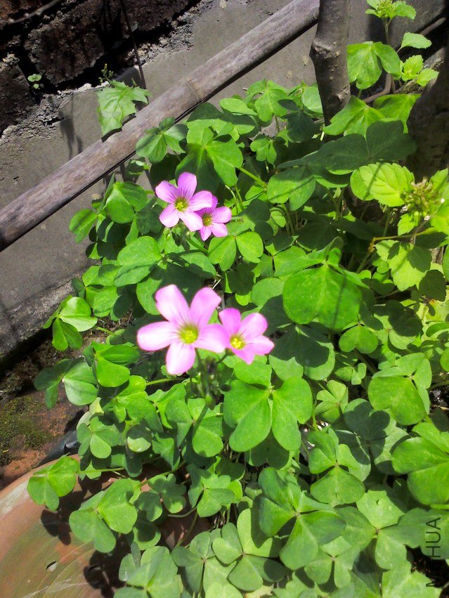 YP20120407131241.jpg