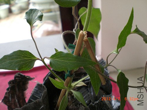 CIMG2192_����.jpg