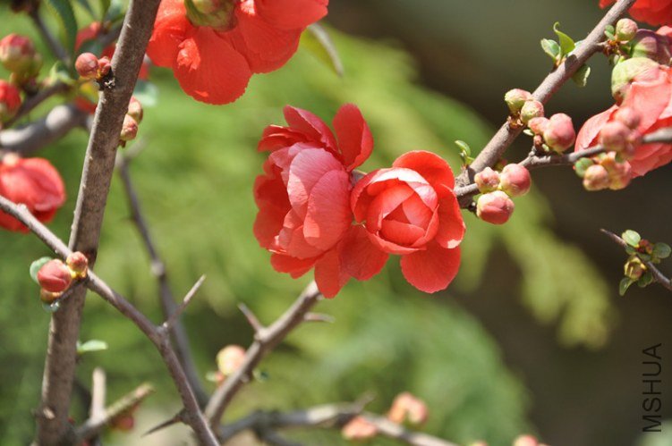 DSC_9555_����.jpg